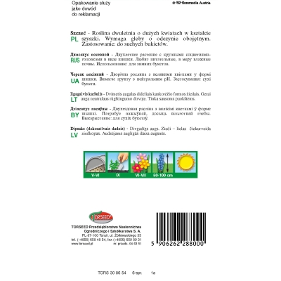 Szczeć MIODODAJNA MROZOODPORNA Suche Bukiety Nasiona